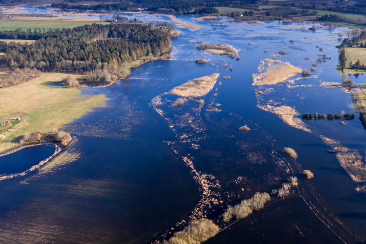 Cultivating Temporal Attunement